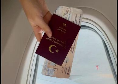 Different life paths among young people