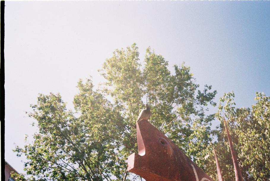 A sculptural structure against trees and the sky, photographed by İrem İlayda Arslanoğlu